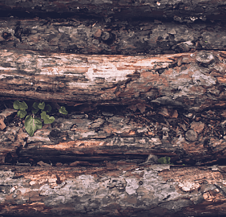 Reusing Natural Resources